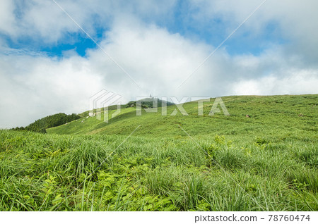 初夏的原石高原（俯瞰葛西石和火石）[和歌山縣公野町] 78760474