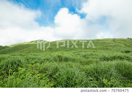 初夏的原石高原（俯瞰葛西石和火石）[和歌山縣公野町] 78760475