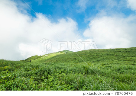 初夏的原石高原（俯瞰葛西石和火石）[和歌山縣公野町] 78760476