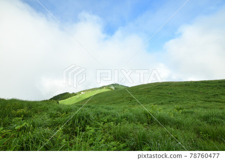 初夏的原石高原（俯瞰葛西石和火石）[和歌山縣公野町] 78760477