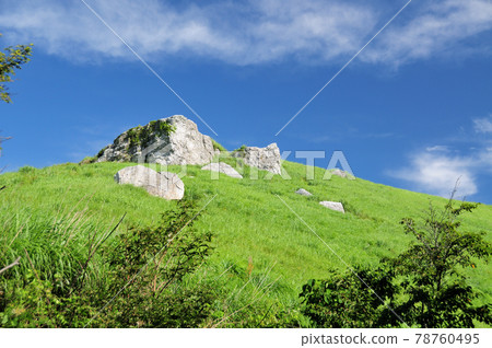 Summer raw stone plateau (fire rock) [Kimino Town, Wakayama Prefecture] 78760495