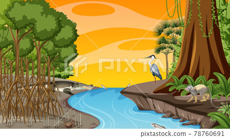 Nature scene with Mangrove forest at sunset time in cartoon style 78760691