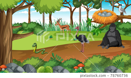 Forest scene with different wild animals 78760736