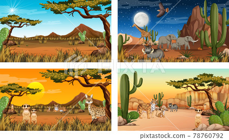Different desert forest landscape scenes with animals and plants Different desert forest landscape scenes with animals and plants 78760792