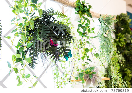 Background material for a fashionable interior image decorated with foliage plants Background material for a fashionable interior image decorated with foliage plants 78760819
