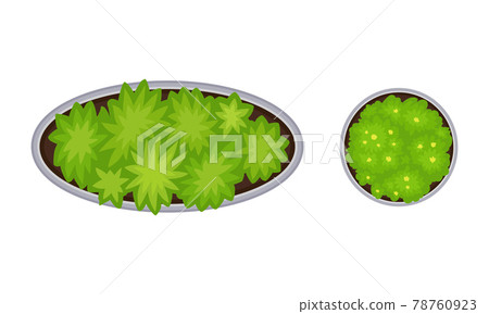 Bush Growth as Landscape Elements Above View Vector Set 78760923