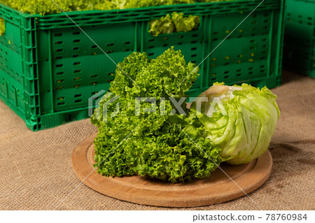 assortment of salads on the table, against the background of green containers with the harvest, close-up assortment of salads on the table, against the background of green containers with the harvest, close-up 78760984