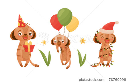 Cute Meerkat or Suricate with Brindled Coat Holding Gift Box and Tied with Balloon Bunch Vector Set Cute Meerkat or Suricate with Brindled Coat Holding Gift Box and Tied with Balloon Bunch Vector Set 78760996