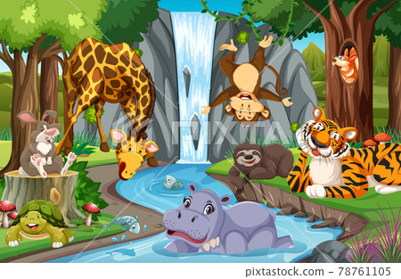 Wild animals in the jungle Wild animals in the jungle 78761105