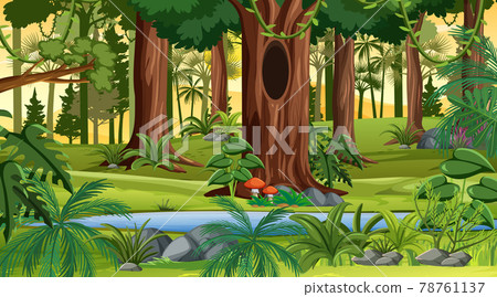 Forest landscape scene at sunset time with many different trees 78761137