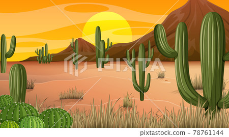 Desert forest landscape at sunset time scene with many cactuses 78761144