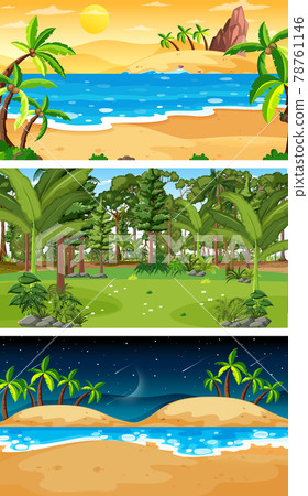 Three different forest horizontal scenes Three different forest horizontal scenes 78761146