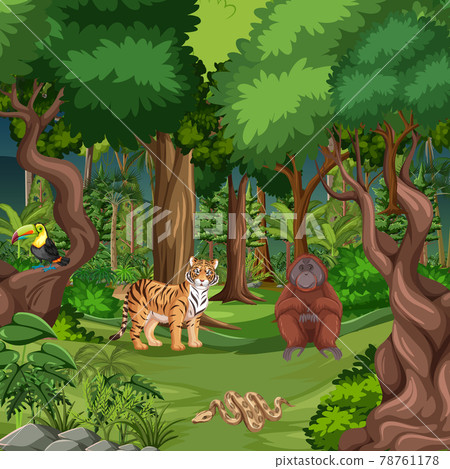 Forest scene with different wild animals 78761178