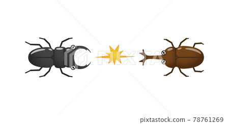 Confrontation illustration image of beetle and stag beetle 78761269