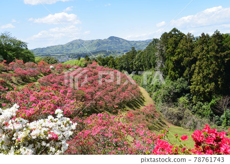 我去了笠間築地公園#96 78761743