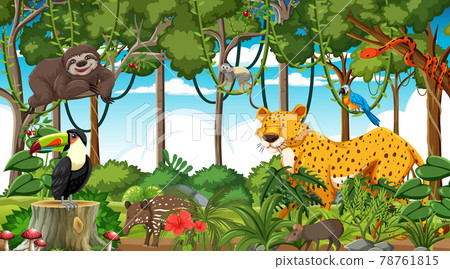 Forest at daytime scene with different wild animals 78761815