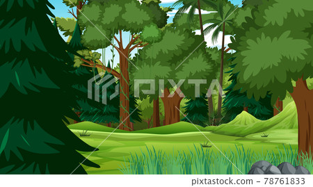 Rainforest or tropical forest at daytime scene Rainforest or tropical forest at daytime scene 78761833