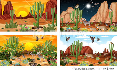 Different desert forest scenes with animals and plants 78761866