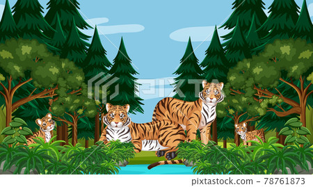 Forest or rainforest scene with tiger family Forest or rainforest scene with tiger family 78761873