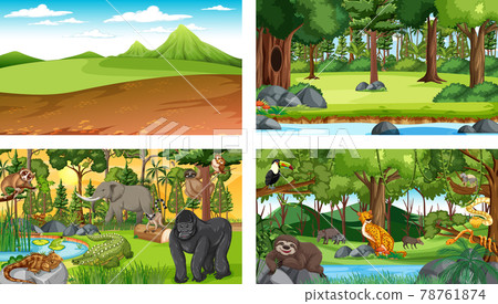 Set of different forest horizontal scene with various wild animals Set of different forest horizontal scene with various wild animals 78761874