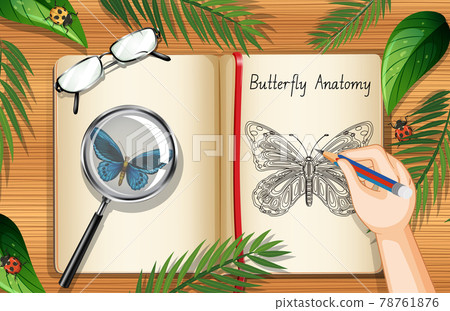 Blank book page on office work table top view with leaves and insects element Blank book page on office work table top view with leaves and insects element 78761876