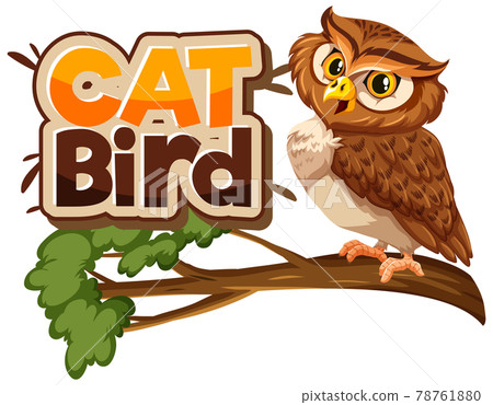 Owl on branch cartoon character with Cat Bird font banner isolated 78761880