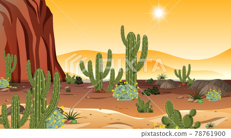 Desert forest landscape at sunset time scene with many cactuses Desert forest landscape at sunset time scene with many cactuses 78761900