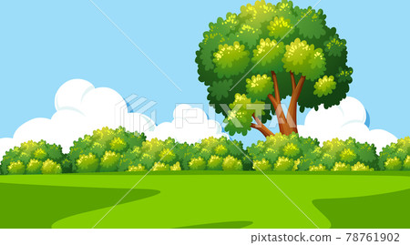 Blank nature park landscape at daytime scene 78761902