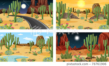 Different scenes with desert forest landscape 78761906