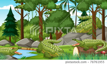 Crocodile group in forest at daytime scene with many trees 78761955