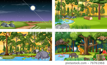 Set of different forest horizontal scene with various wild animals 78761968