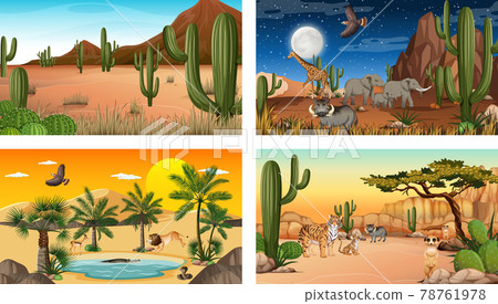 Different scenes with desert forest landscape with animals and plants Different scenes with desert forest landscape with animals and plants 78761978