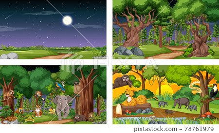 Set of different forest horizontal scene with various wild animals Set of different forest horizontal scene with various wild animals 78761979