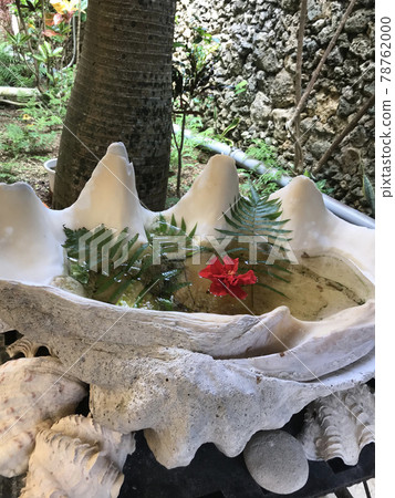 以沖繩大貝殼為對象的時尚咖啡館 78762000