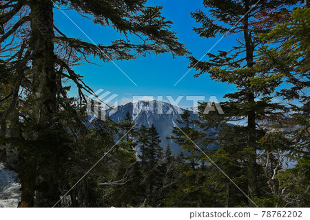 Climbing in early spring, looking into Mt. Kasumi from between the forest belts Climbing in early spring, looking into Mt. Kasumi from between the forest belts 78762202