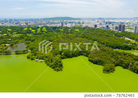 臺灣高雄澄清湖風景Taiwan kaohsiung ching lake the scenery 臺灣高雄澄清湖風景Taiwan kaohsiung ching lake the scenery 78762465