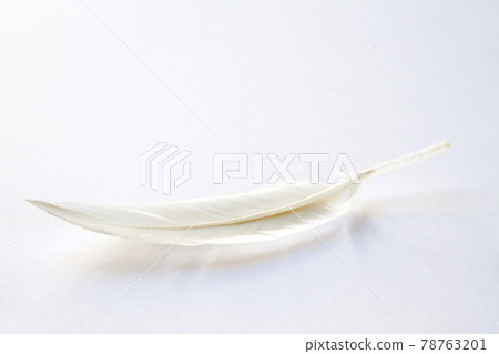 White feather on light background 78763201