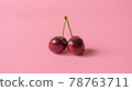 兩顆香甜鮮美的紅櫻桃由樹枝相連。 78763711