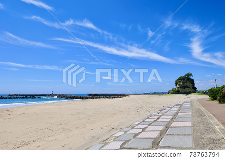 Kawarago Beach in early summer, Hitachi City, Ibaraki Prefecture 78763794