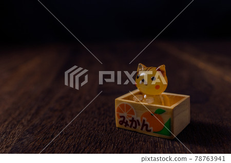 被遺棄的貓 被遺棄的貓 78763941