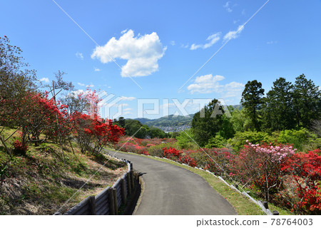 我去了笠間築地公園#106 78764003