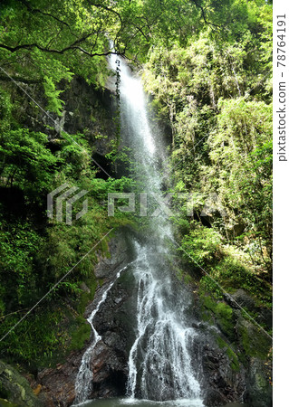 Next waterfall [Aridagawa-cho, Arida-gun, Wakayama Prefecture] 78764191