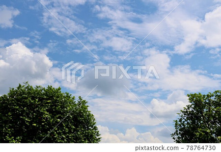雨季清新的風景 雨季清新的風景 78764730