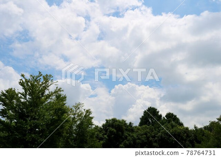雨季清新的風景 雨季清新的風景 78764731