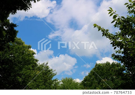 雨季清新的風景 雨季清新的風景 78764733