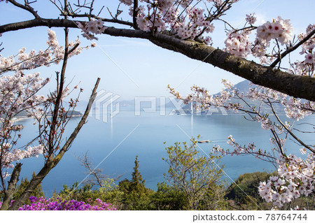 從凱山看多多羅橋 78764744