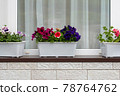 Flowers on windowsill 78764762