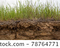 Soil cut due to landslide. 78764771
