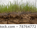 Soil cut due to landslide. 78764772