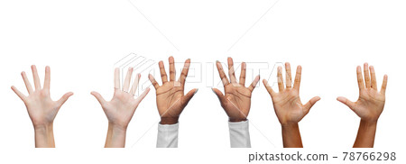 hands of people with diverse ethnicity hands of people with diverse ethnicity 78766298